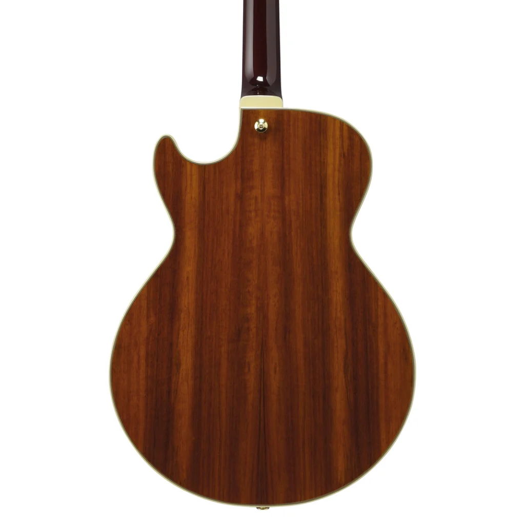 Ibanez AG95KNT Electro Acoustic Guitar Natural - Image 2