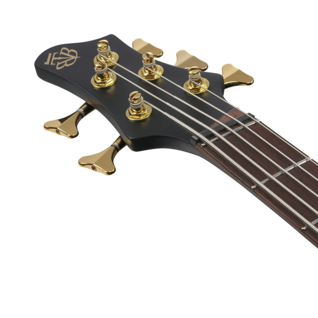 Ibanez Bass Workshop BTB605LM 5-String Electric Bass - Black Flat - Image 6