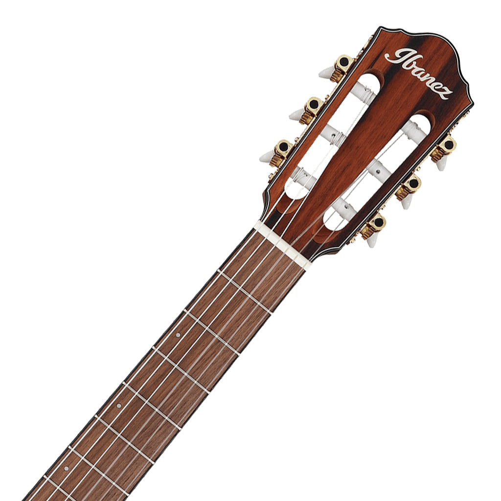 Ibanez FRH10N Brown Sunburst Flat Nylon String Guitar - Image 4