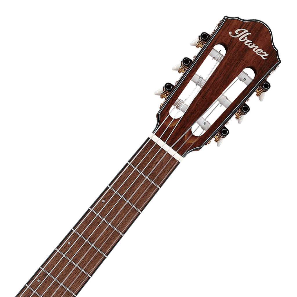 Ibanez FRH10N Indigo Metallic Flat Nylon String Guitar - Image 4