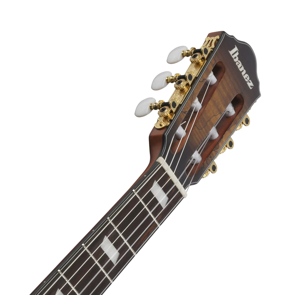 Ibanez FRH20SMN Nylon String Guitar Spalted Maple - Tobacco Burst Low Gloss - Image 4