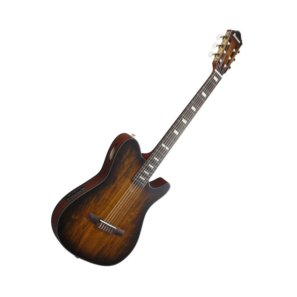 Ibanez FRH20SMN Nylon String Guitar Spalted Maple - Tobacco Burst Low Gloss - Image 7