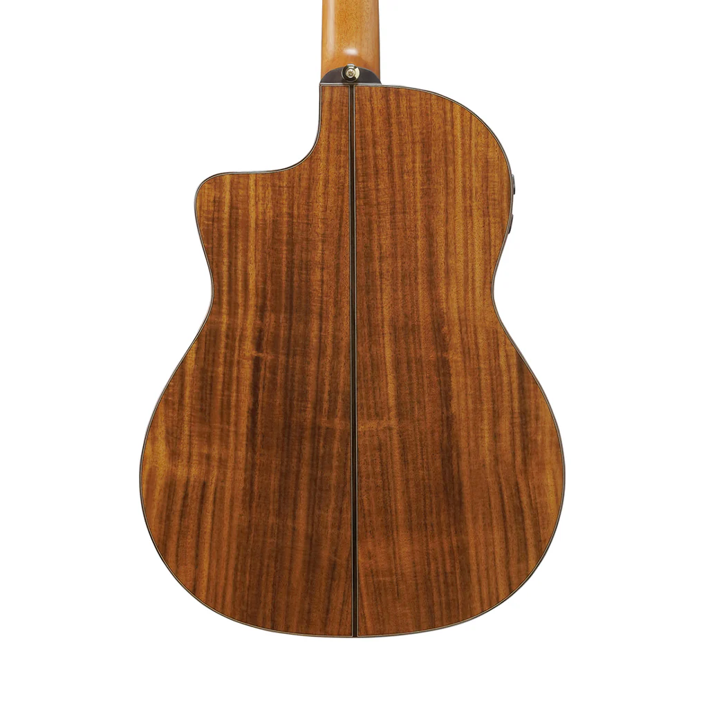 Ibanez GA360TCE Classical Nylon Guitar w/Cutaway - Natural High Gloss - Image 2