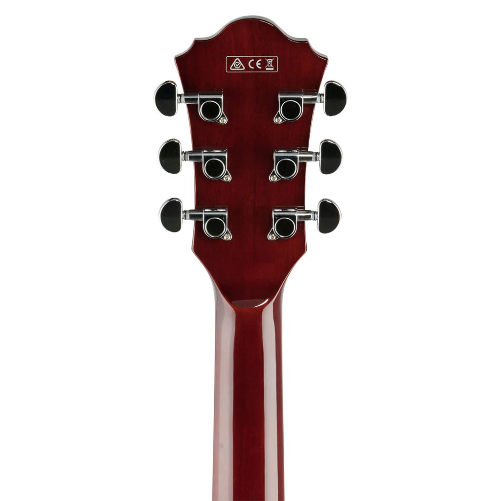Ibanez GB10EM AA George Benson Signature - Image 5