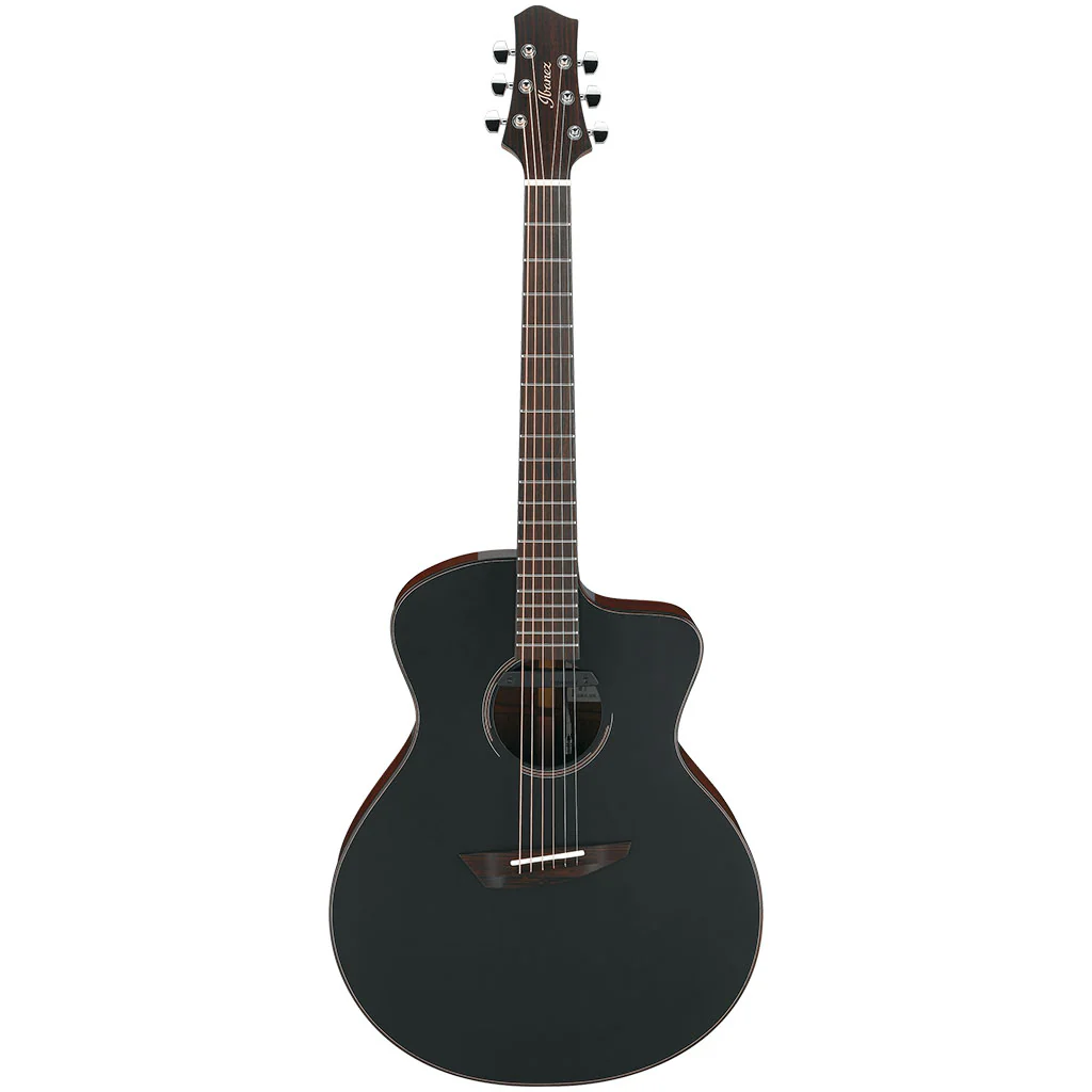 Ibanez JGM10 BSN Jon Gomm Acoustic Guitar W/Case - Image 2