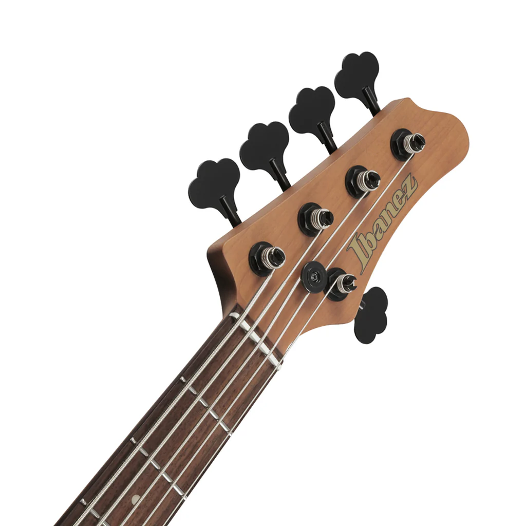Ibanez MDM1005 5-String Electric Bass - Midnight Arctic Ocean Matte - Image 5