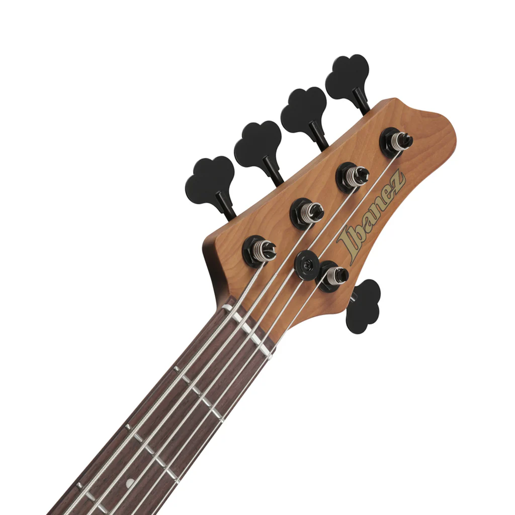 Ibanez MDM1605 5-String Electric Bass - Natural Mocha Low Gloss - Image 5