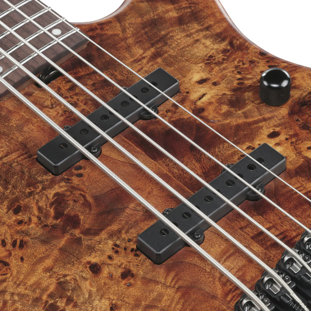Ibanez MDM1605 5-String Electric Bass - Natural Mocha Low Gloss - Image 8