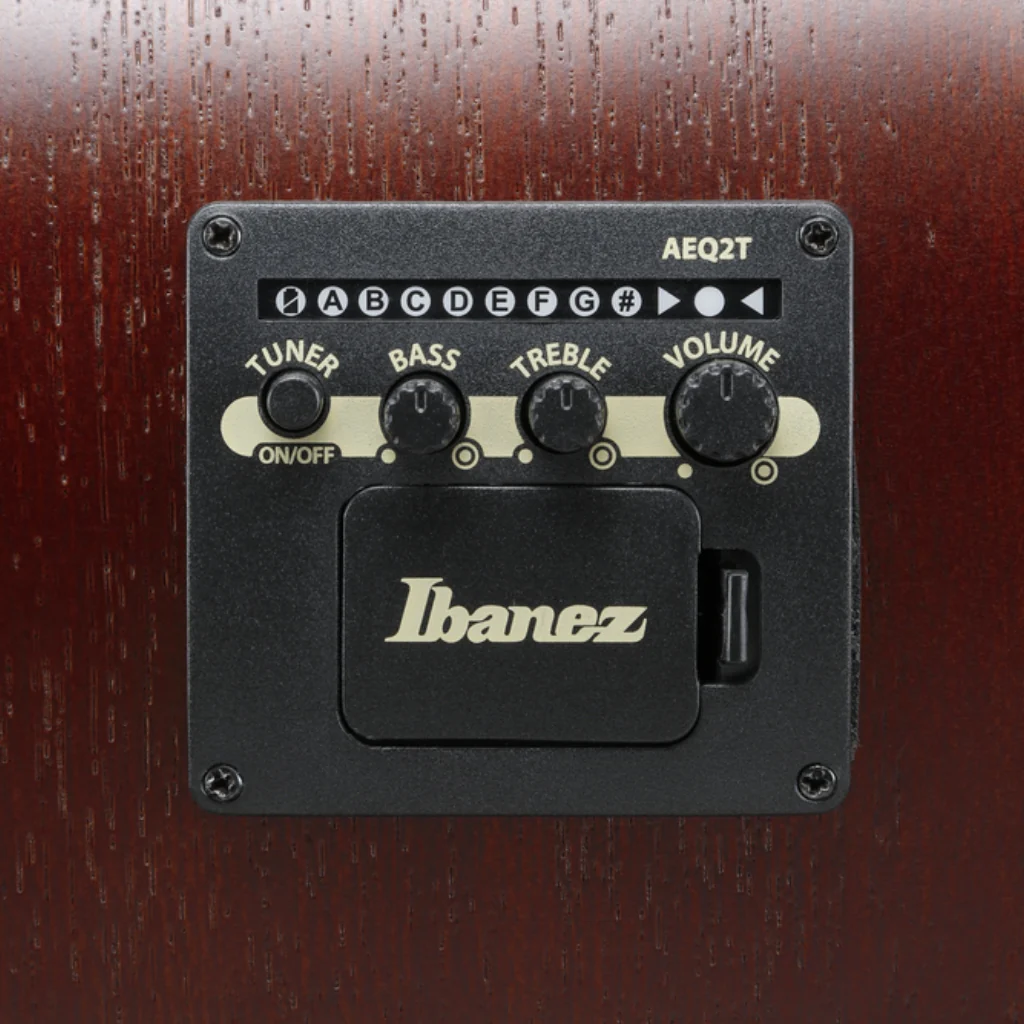 Ibanez PJ50E Open Pore Vintage Amber Sunburst Top, Open Pore Natural Back and Sides Acoustic Guitar - Image 10