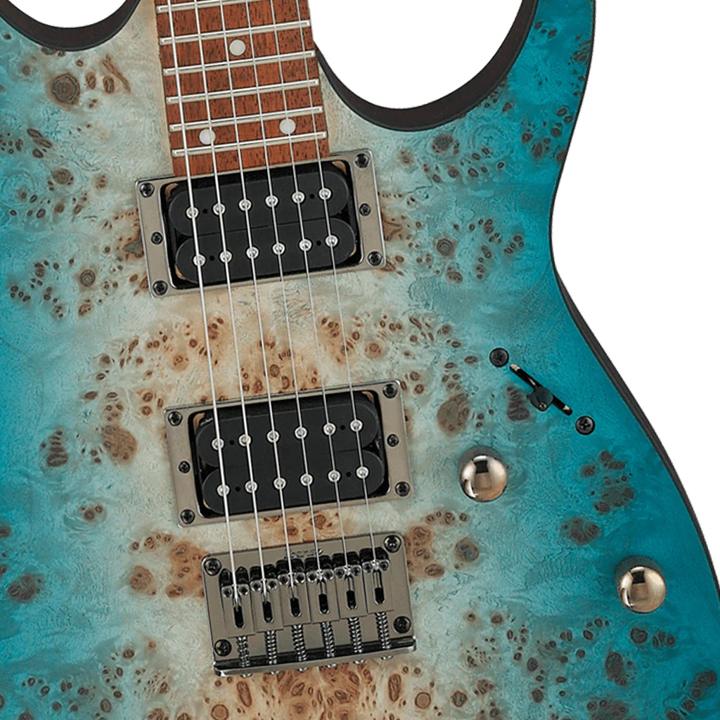 Ibanez RG421PB CHF Electric Guitar - Image 6
