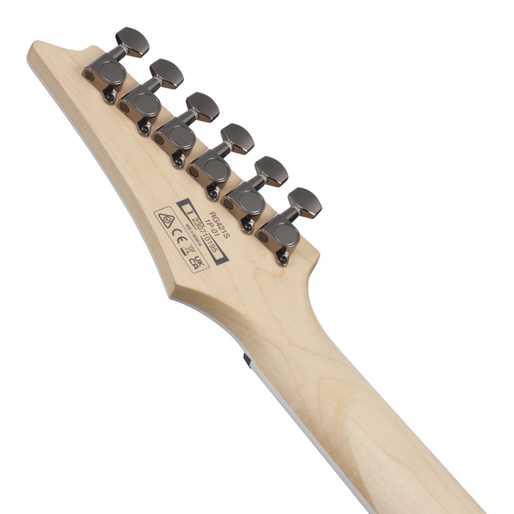 Ibanez RG421SSEM Electric Guitar Sea Shore Matte - Image 5