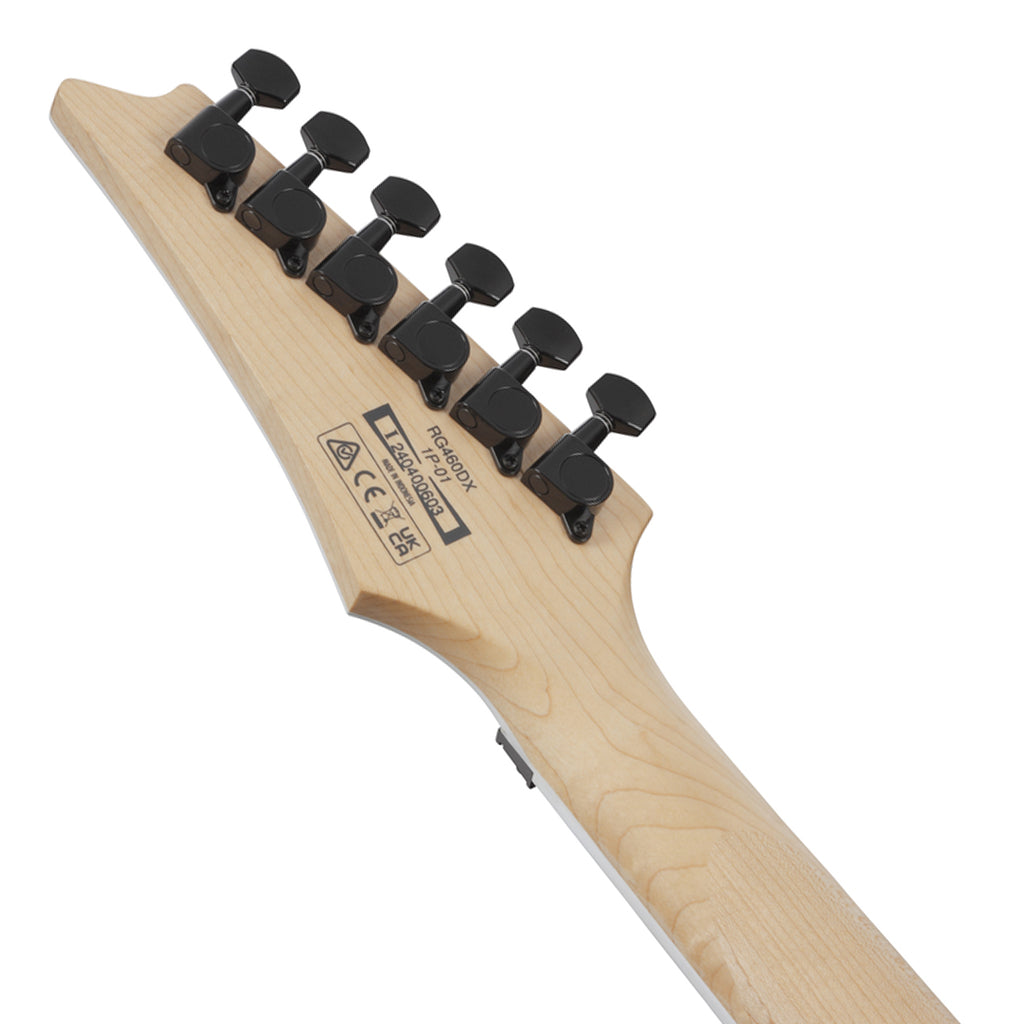 Ibanez RG460DX Meranti Body with Jatoba Fretboard - Blue Haze - Image 6