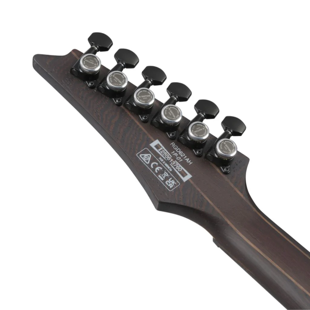 Ibanez RGD621AH Electric Guitar - Midnight Shade Flat - Image 7