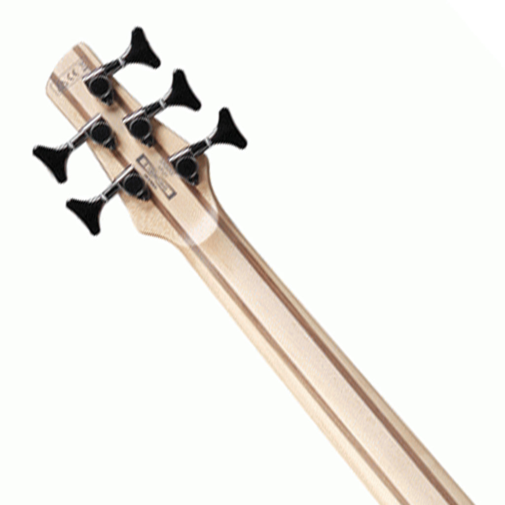 Ibanez SR305E CUB Electric 5-String.Bass - Image 5