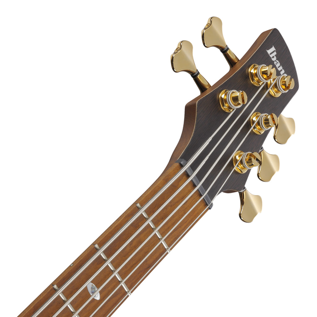 Ibanez SR4505 5-String Bass Ash Body with Roasted Maple Fretboard and Case - Desert Sunset Burst - Image 5