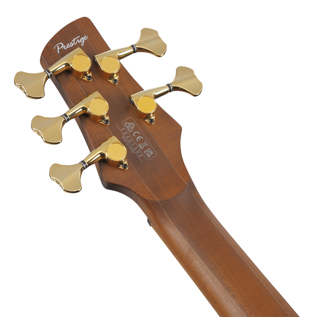 Ibanez SR4505 5-String Bass Ash Body with Roasted Maple Fretboard and Case - Desert Sunset Burst - Image 6