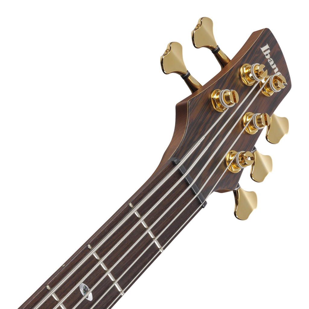Ibanez SR5505 5-String Bass Ovangkol Top with Rosewood Fretboard and Case - Mocha Flat - Image 5