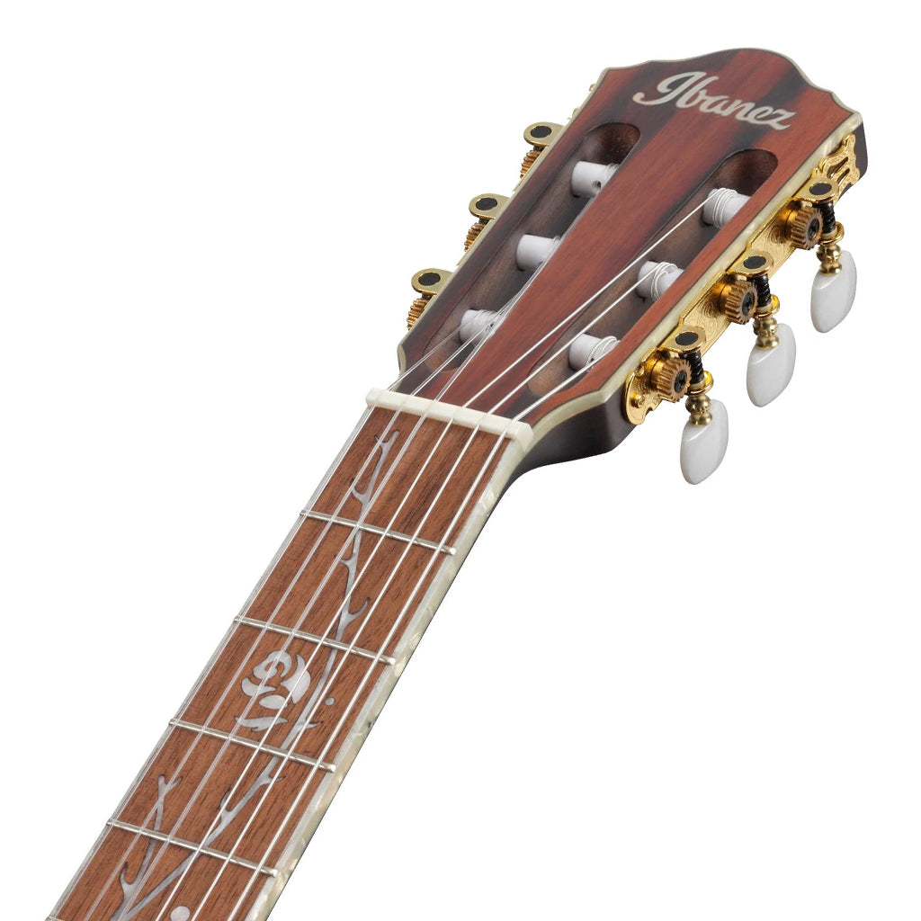 Ibanez Tim Henson TOD10NL Signature Left Handed Nylon Guitar - Image 5