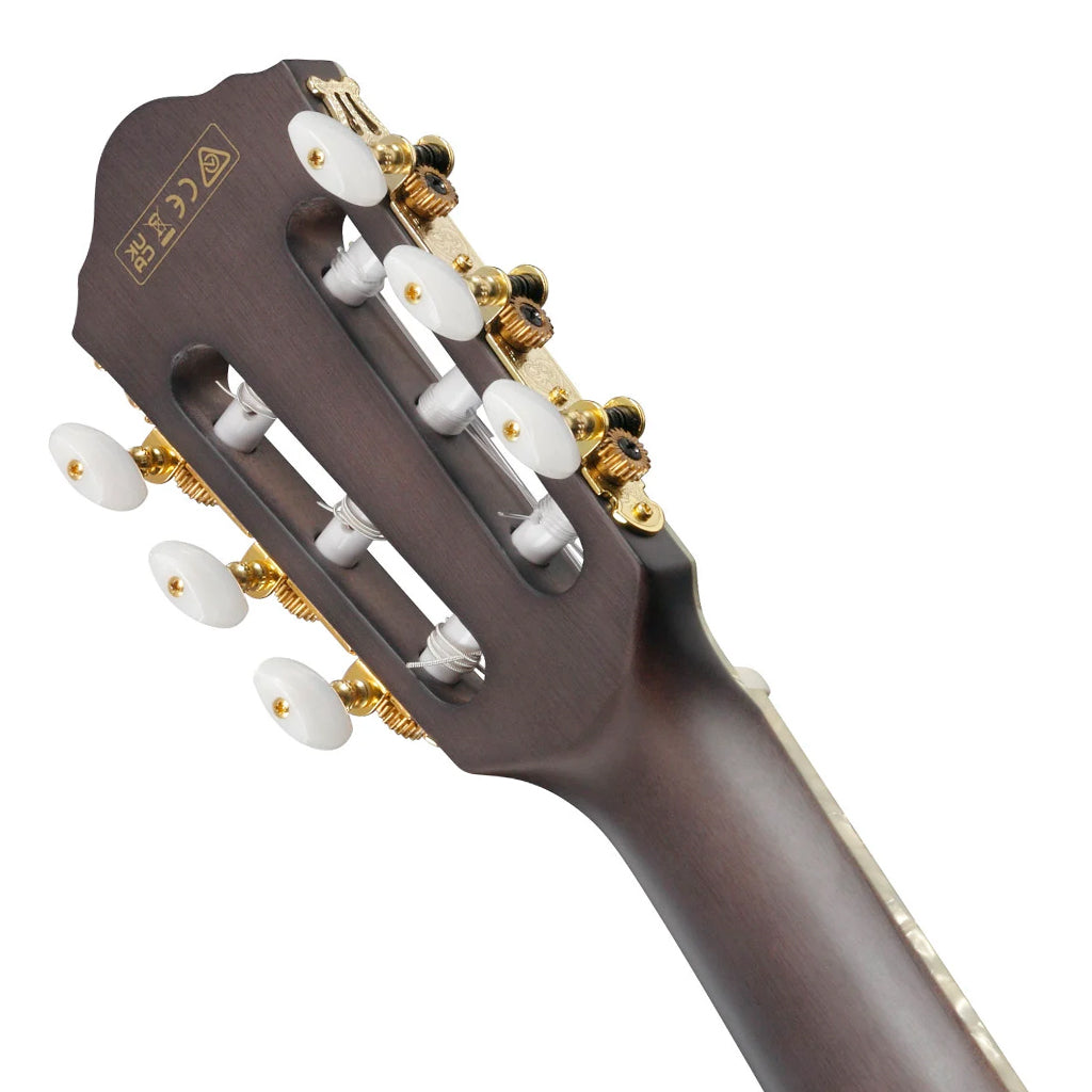 Ibanez Tim Henson TOD10NL Signature Left Handed Nylon Guitar - Image 6