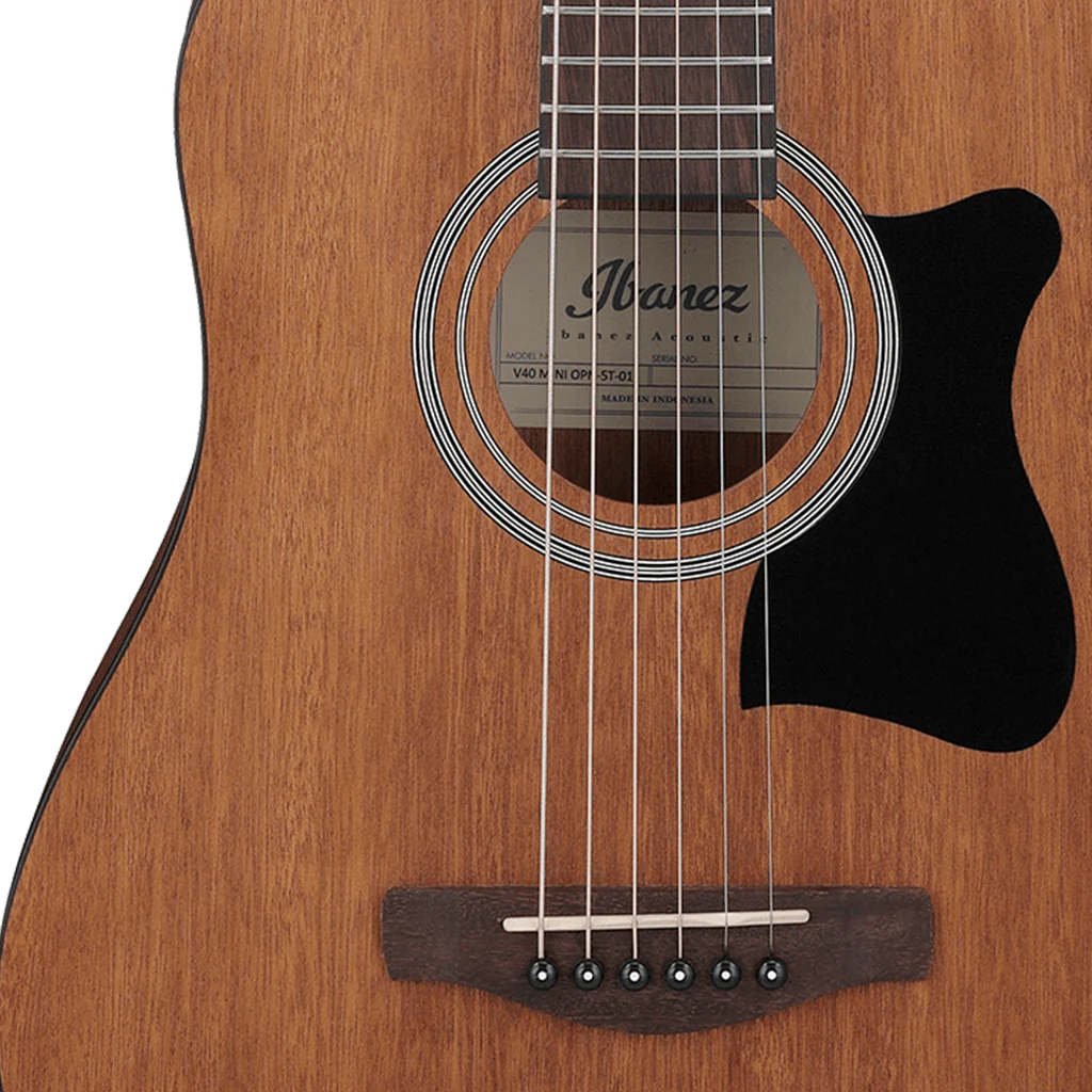 Ibanez VC44 OPN Acoustic Guitar - Image 6