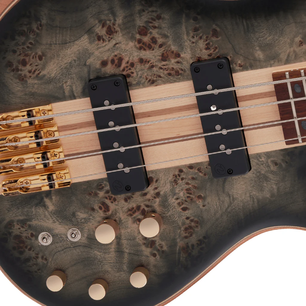 Jackson Pro Series Spectra Bass SBP IV, Caramelized Jatoba Fingerboard, Transparent Black Burst | Bass Guitars | 2919914585 - Image 5