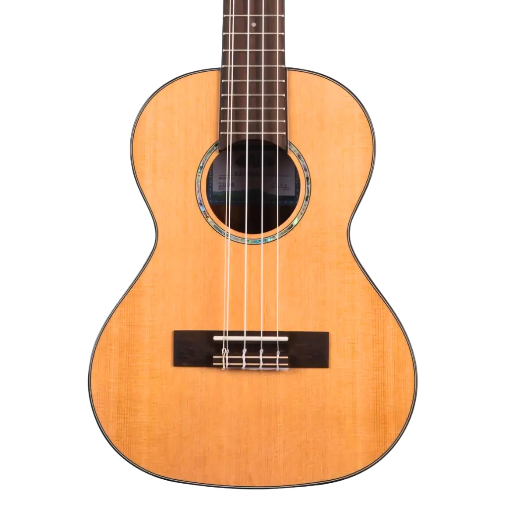 Kala KA-SCAC-T5 Tenor 5 String Ukulele