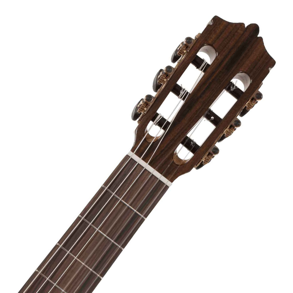 Katoh MCG20SEQ Classical Cutaway - Image 4