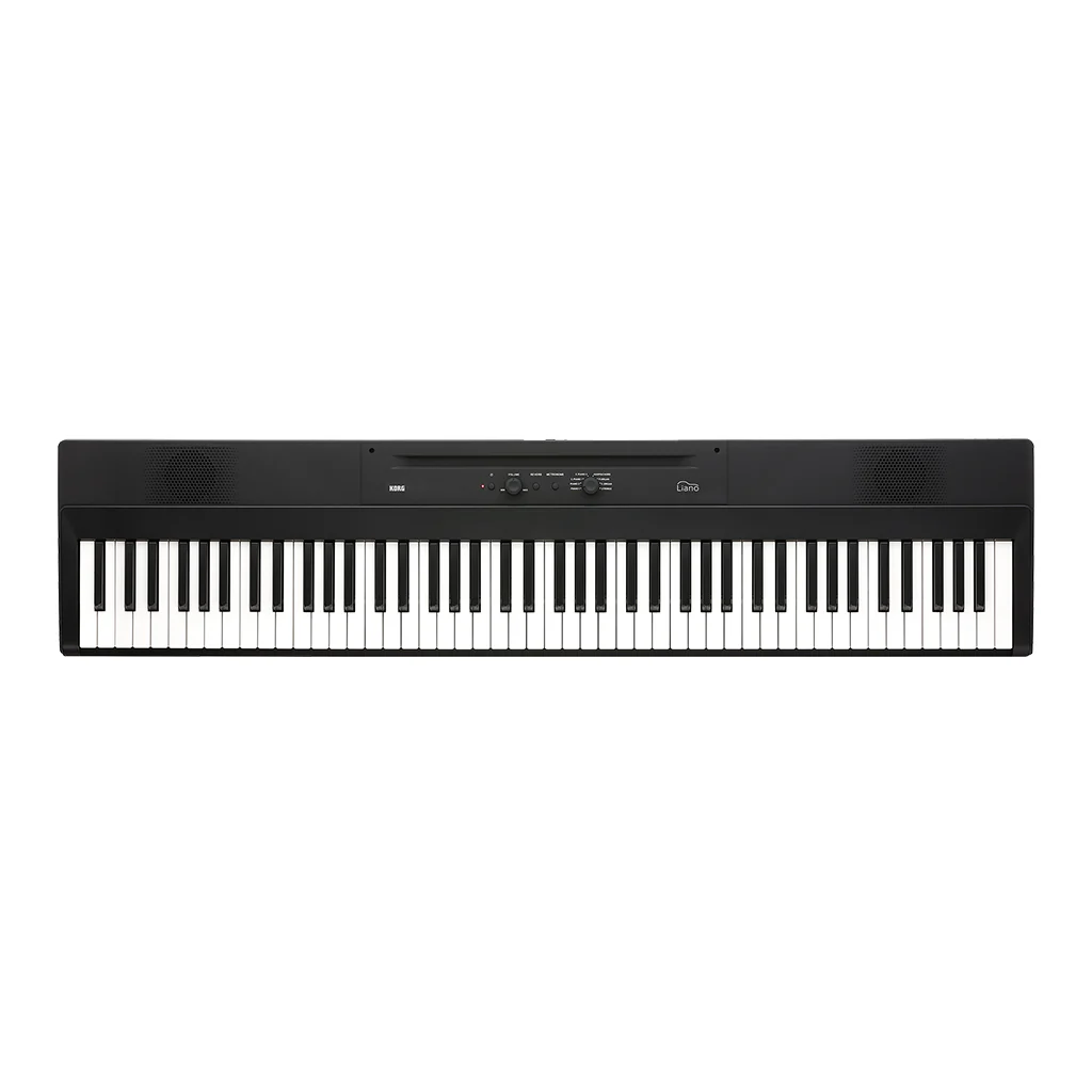 Korg Liano 88 Note Piano Black