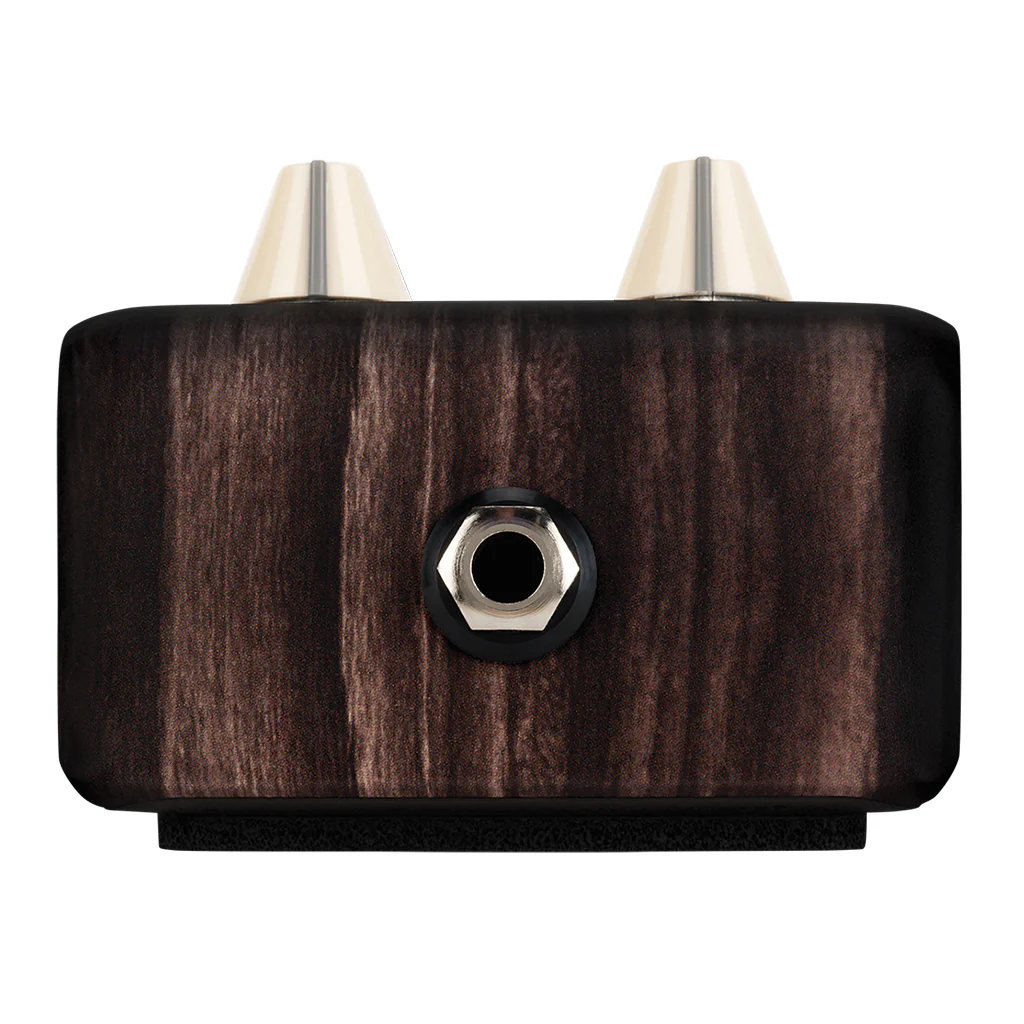 LR Baggs LRBALIGNDELAY Align Delay Pedal - Image 2