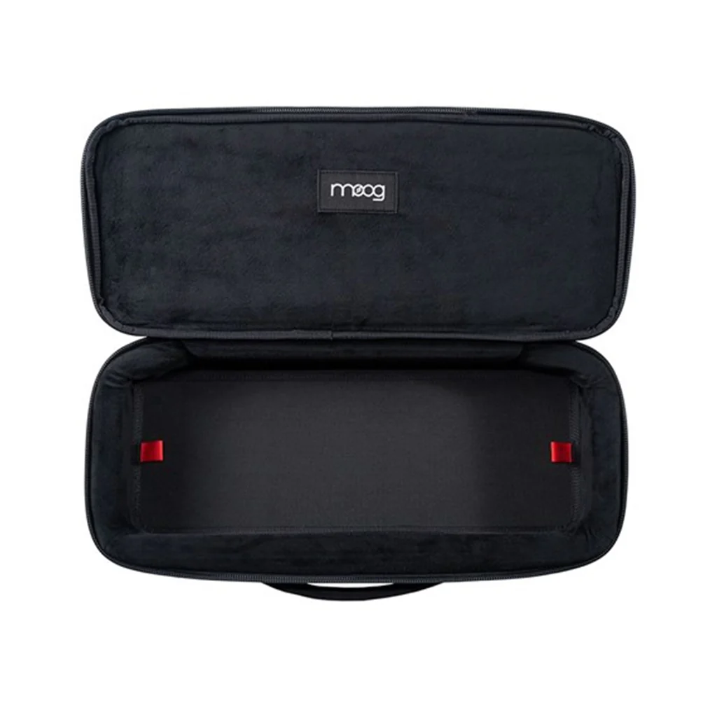 Moog Etherwave Theremin SR Case - Image 2