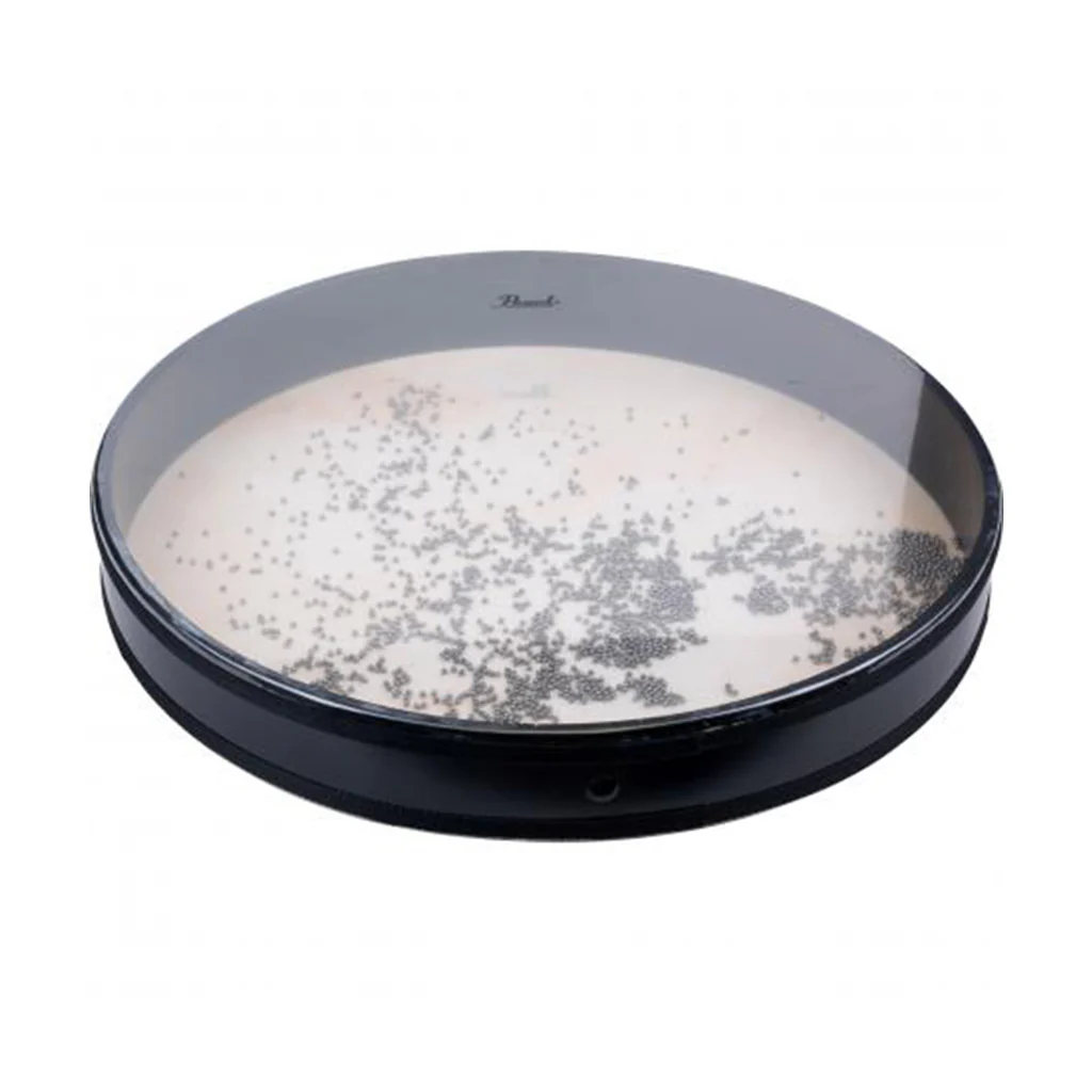 Pearl Ocean Drum 16"x2.5" - Image 3