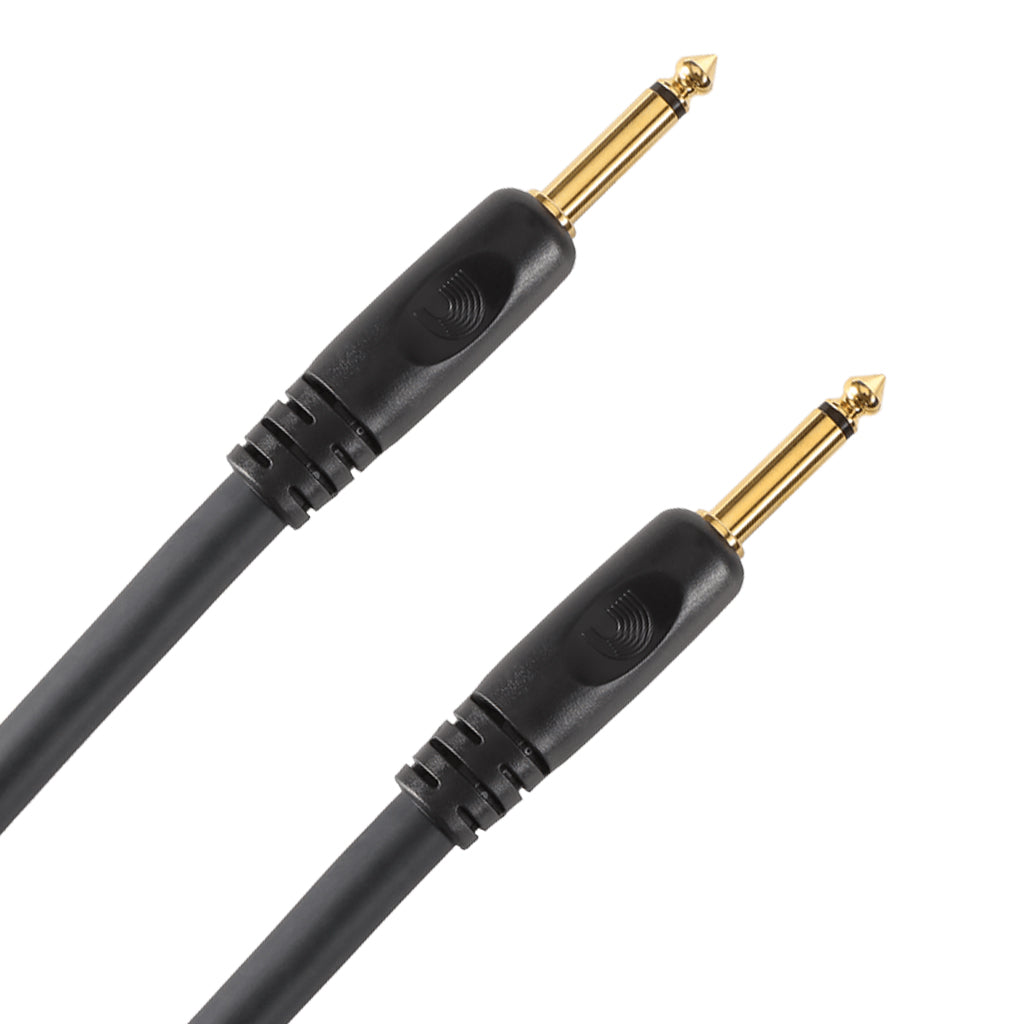 Planet Waves 10' MN 1/4" SPK