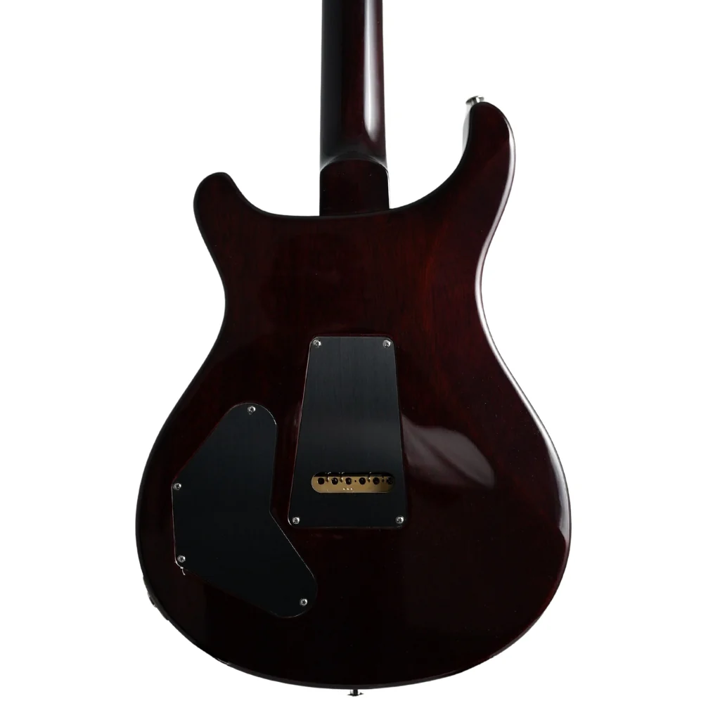 PRS DGT Moons - McCarty Tobacco Sunburst - Image 2