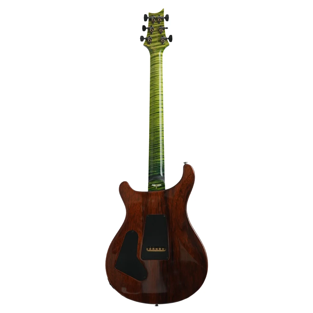 PRS Private Stock #11603 Custom 24-08 Semi-Hollow Electric Guitar - Rainforest Glow - Image 5