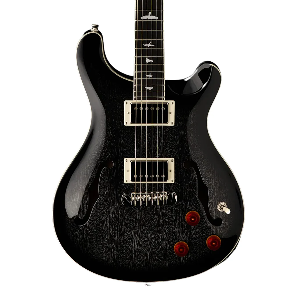 PRS SE Hollowbody Standard Piezo - Dog Hair Smokeburst