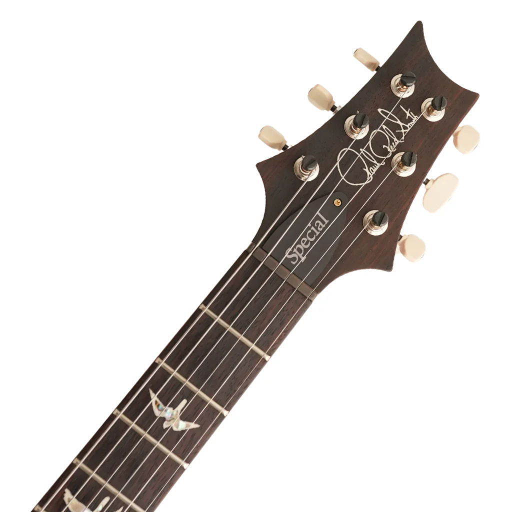 PRS Special Semi Hollow 10 Top - Yellow Tiger - Image 4