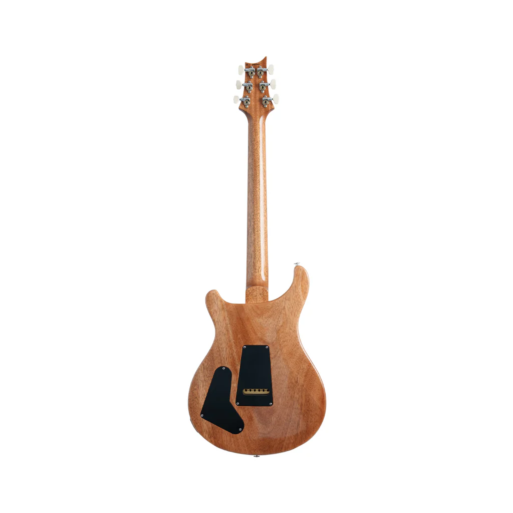 PRS Studio w/Hardcase - Carroll Blue - Image 3