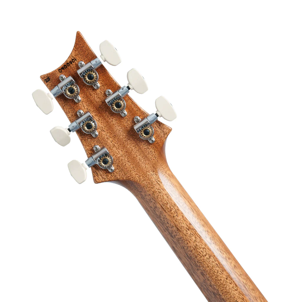 PRS Studio w/Hardcase - Carroll Blue - Image 5