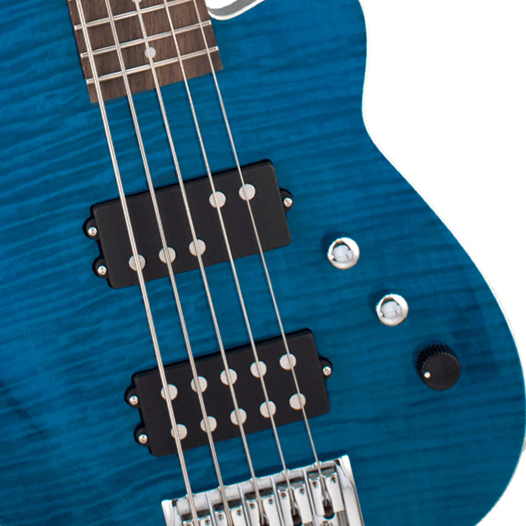 Reverend - Mercalli 5-string Bass Guitar - FM TRBL-RW - Image 4