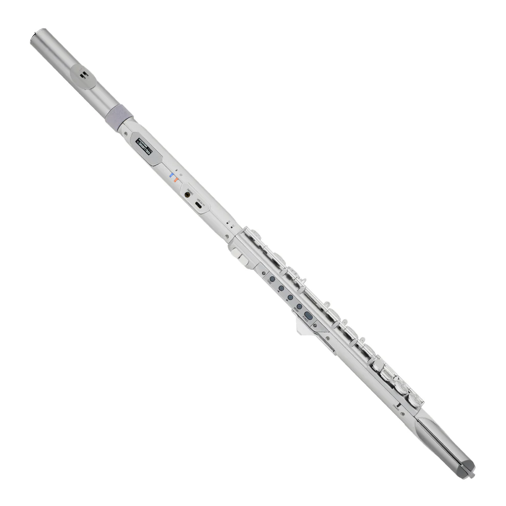 Roland Aerophone Brisa Digital Wind Instrument - Image 3