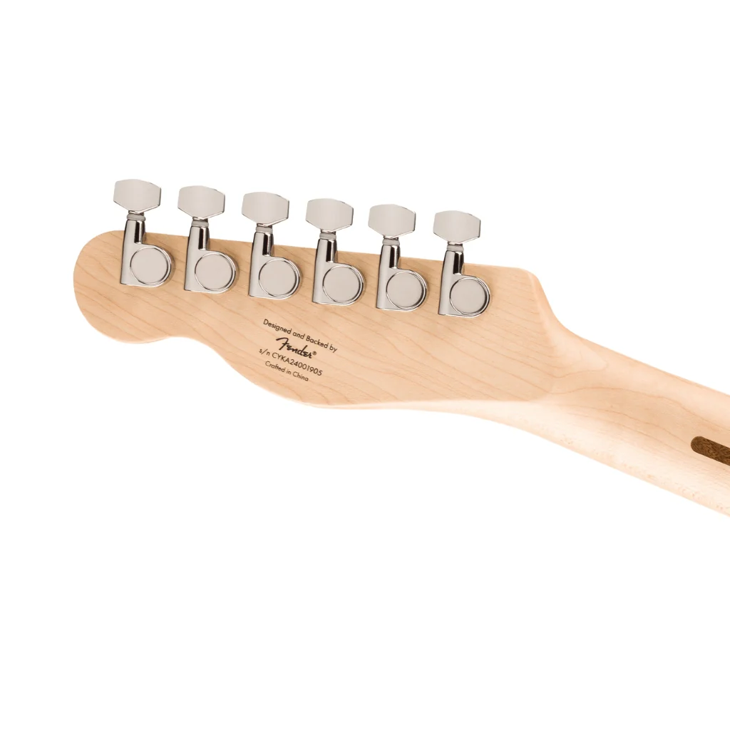 Squier Affinity Series Telecaster Thinline Laurel Fingerboard with Black Pickguard - Olympic White - Image 6