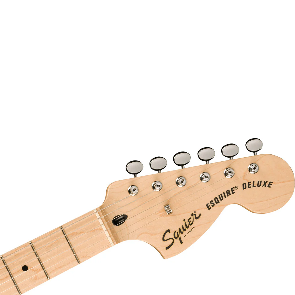 Squier Paranormal Esquire® Deluxe, Maple Fingerboard, Black Pickguard, Metallic Black - Image 5