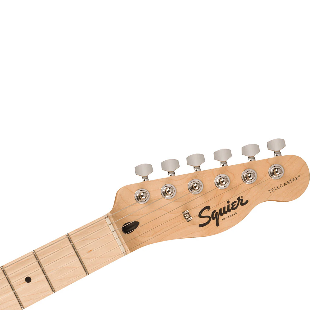 Squier Sonic™ Telecaster® - Maple Fingerboard - Black Pickguard - Butterscotch Blonde - Image 5