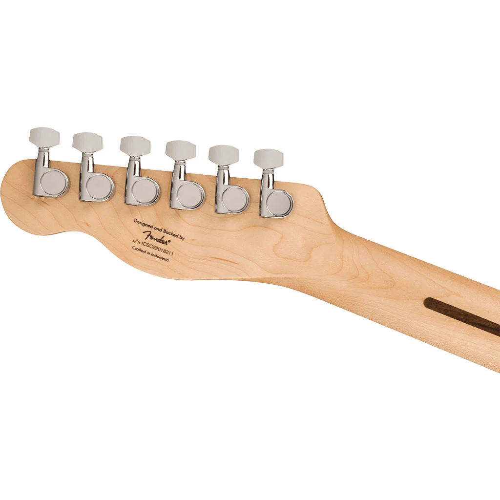 Squier Sonic™ Telecaster® - Maple Fingerboard - Black Pickguard - Butterscotch Blonde - Image 6