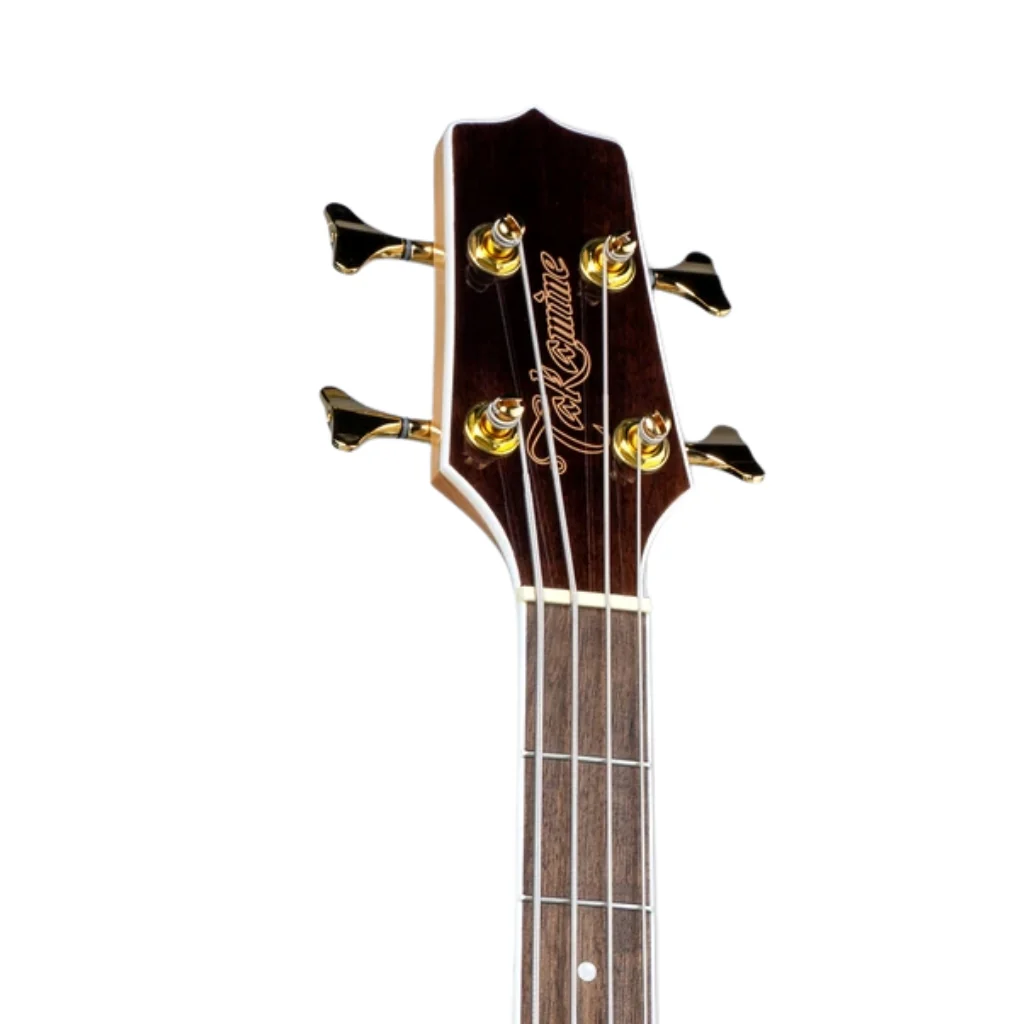 Takamine GB72 Series Jumbo Acoustic-Electric Bass Guitar - Natural - Image 5