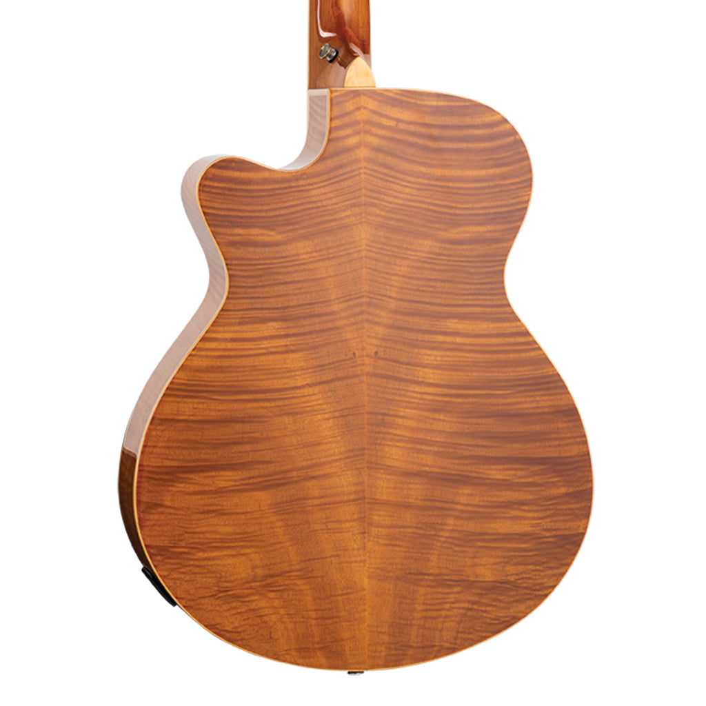 Tanglewood Reunion Pro SF C/E Flamed Mahogany Solid Spruce Top - Image 2