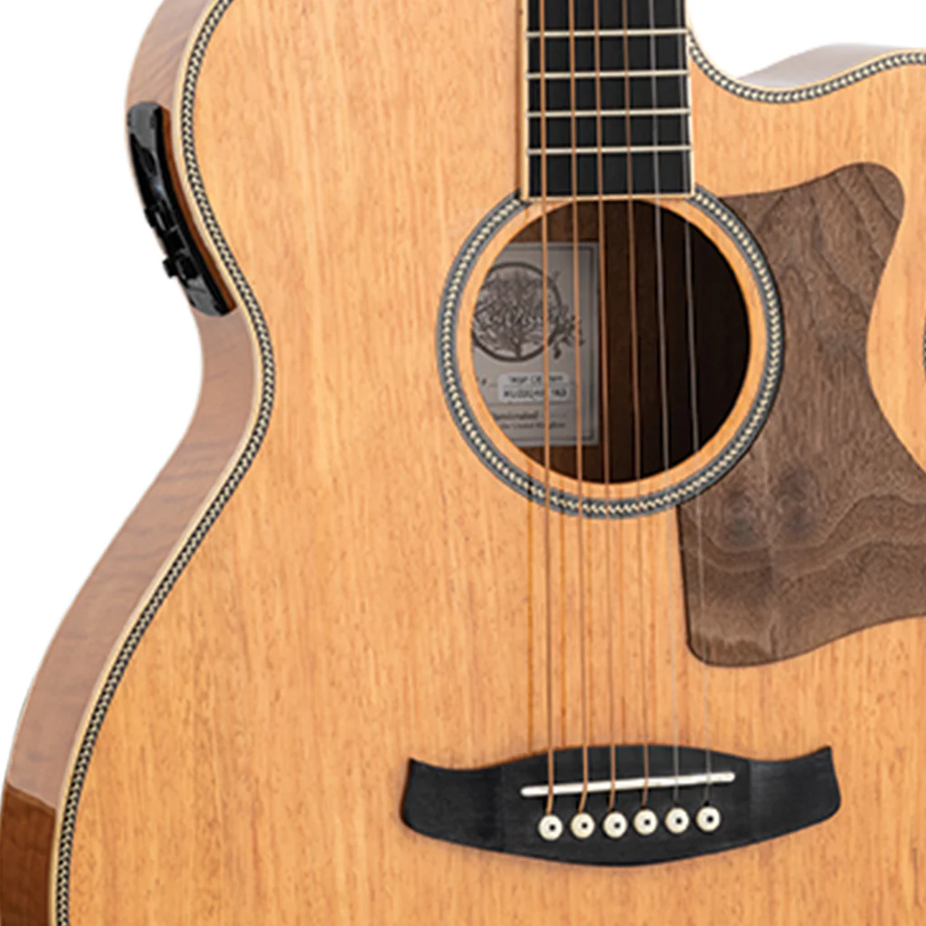 Tanglewood Reunion Pro SF C/E Flamed Mahogany Solid Spruce Top - Image 7