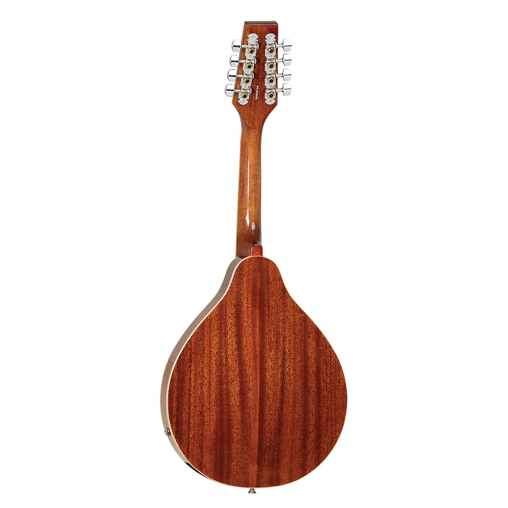 Tanglewood Solid Mahogany with Pickup - Image 3