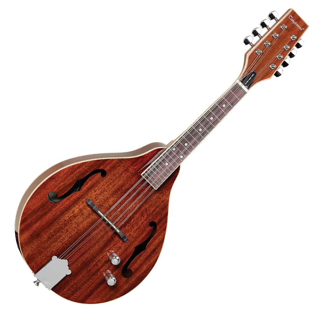 Tanglewood Solid Mahogany with Pickup - Image 4