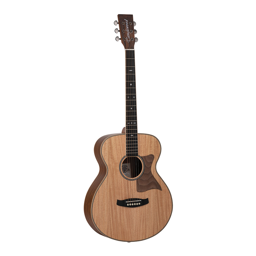 Tanglewood TRU3-HR Reunion Pro Solid Australian Red Cedar Top Folk with Hawaiian Rain Wood Back and Sides - Image 2
